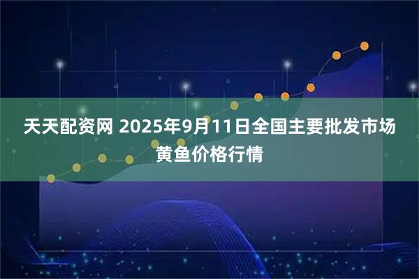 天天配资网 2025年9月11日全国主要批发市场黄鱼价格行情