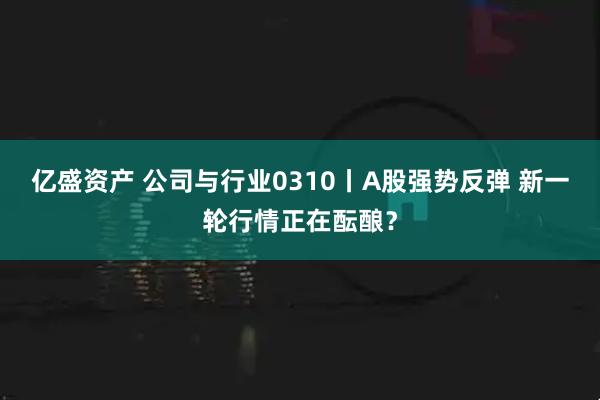 亿盛资产 公司与行业0310丨A股强势反弹 新一轮行情正在酝酿？